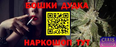 гашик Малоярославец