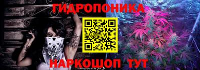 гашик Малоярославец