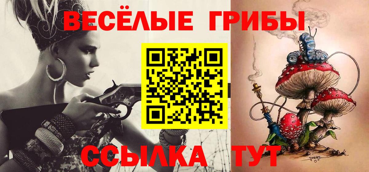 что такое   Псилоцибиновые грибы Psilocybine cubensis  Вход с VPN  Химки 
