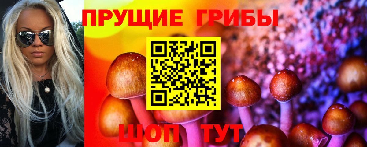 Галлюциногенные грибы Psilocybine cubensis Химки